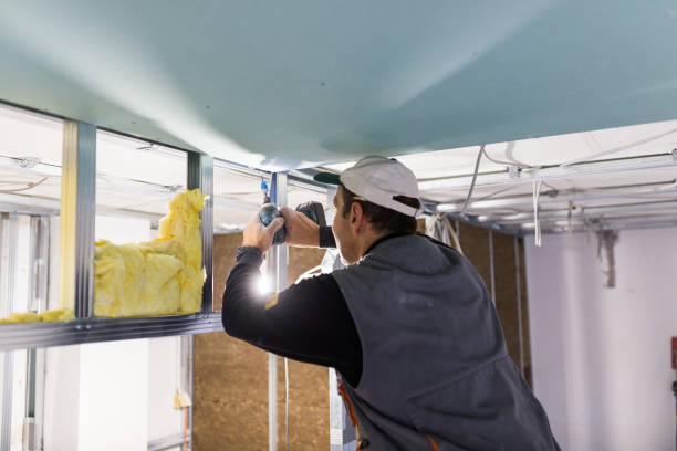 Best Insulation Maintenance and Repair in Evans City, PA